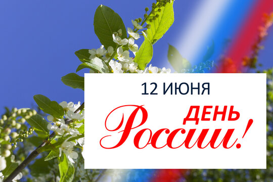 June 12 national holiday celebration banners with Russian flag colors, text in Russian