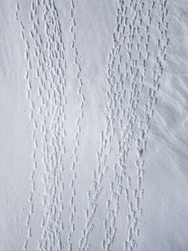 Aerial view of multiple sets of footprints creating textured tracks across a deep, pristine snow-covered field in Kvaloya, Troms, Norway.