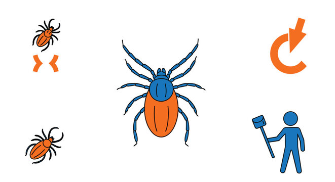 Informative illustration about ticks and prevention methods showing a large tick and various protective measure icons.