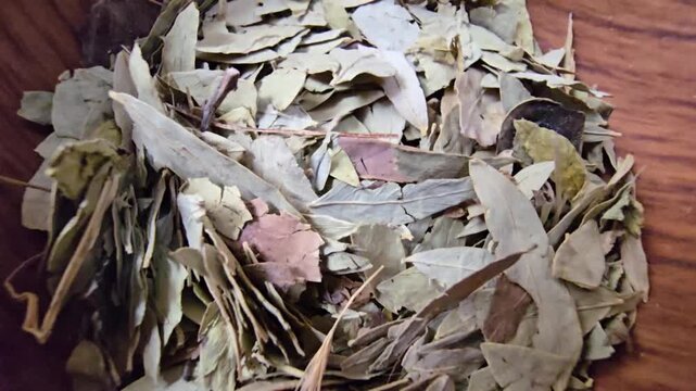 "High-quality macro video of dried Senna alexandrina leaves. Focusing on the raw, organic texture and vibrant green tones of botanical leaves. Ideal for natural wellness, spa, and culinary