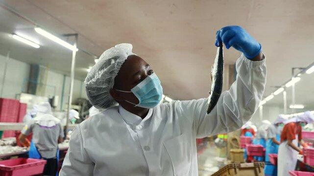 African American female supervisor oversees quality raw materials in storage tanks checking freshness mackerel verifying quantity raw materials controlling production storage and processes ensure they