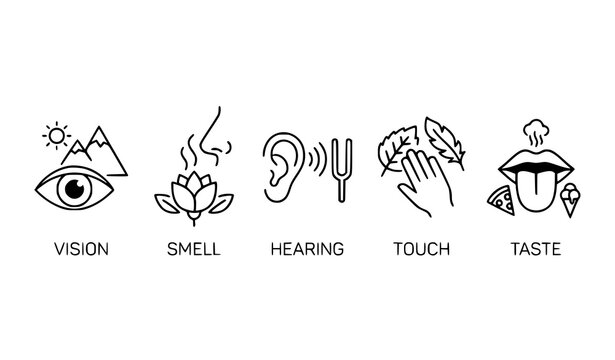Human senses icon vector set with vision smell hearing touch and taste symbols isolated on white background