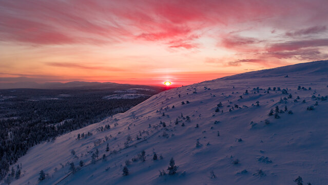 Aerial view of the snow-covered slopes of Luosto fell under a vibrant pink sunset sky with dense pine forests Sodankyla, Lapland, Finland.