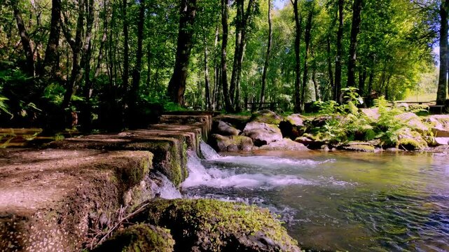 A clear river flows through a vibrant green forest where a low stone weir creates a small cascading waterfall amidst moss covered rocks and bright sunlight in a Portuguese leisure park