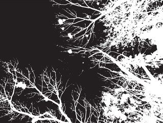 Fototapeta premium Black and White Tree Branch Overlay Grunge Abstract Texture Background