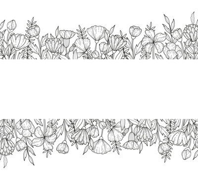 Botanical ink wedding seamless borer with wildflowers on white background. Hand drawn outline flowers and greenery branch. Line art for wedding invitation, greeting birthday cards.
