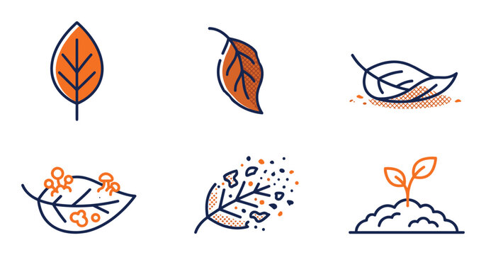 Natural leaf growth and decomposition cycle icon set
