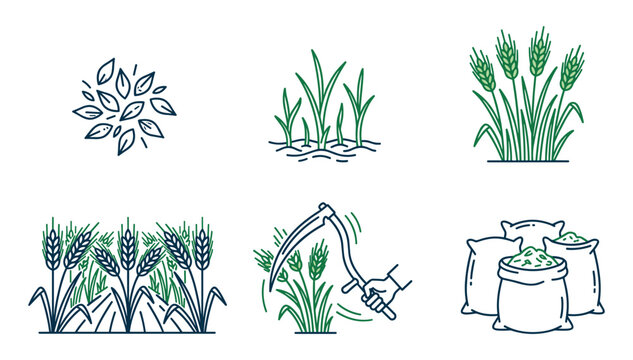Wheat farming and harvesting cycle linear iconography set