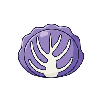 Stylized cross-section of a vibrant purple cabbage with visible leaves and core, illustration