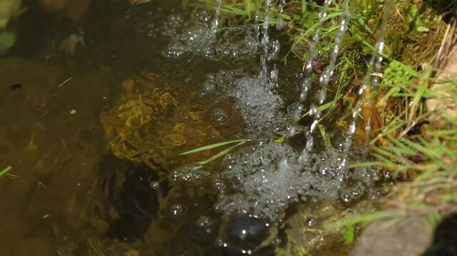 Water Splashing into a Small Stream with Bubbles