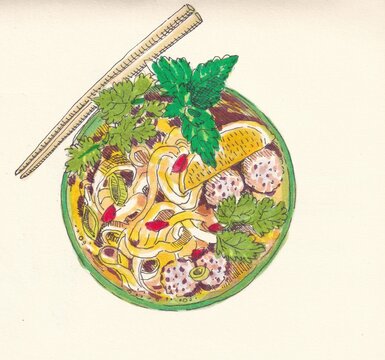 Ph&ocirc; with pork balls and noodles- hand drawn-world cuisine-felt-tip drawing-Eat draw