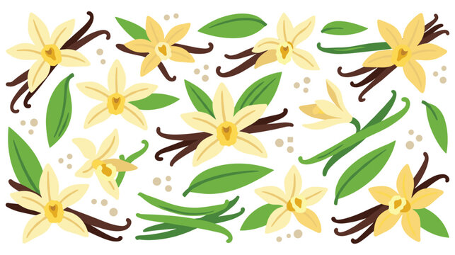 Set of colorful flat vanilla orchid flower and bean pod illustrations.