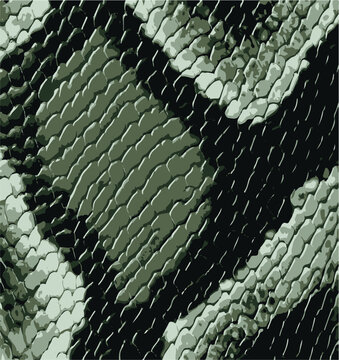 Snake skin pattern, design, funny drawing, seamless pattern. Lettering poster  t shirt textile graphic design wallpaper, wrapping paper.