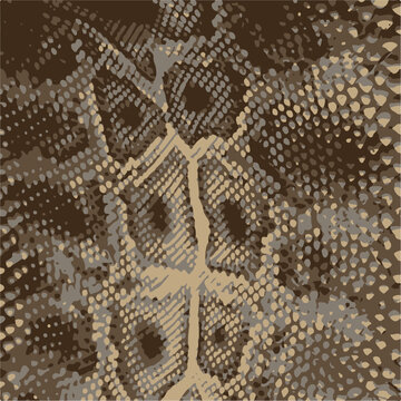 Snake skin pattern, design, funny drawing, seamless pattern. Lettering poster  t shirt textile graphic design wallpaper, wrapping paper.
