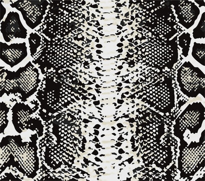 Snake skin pattern, design, funny drawing, seamless pattern. Lettering poster  t shirt textile graphic design wallpaper, wrapping paper.