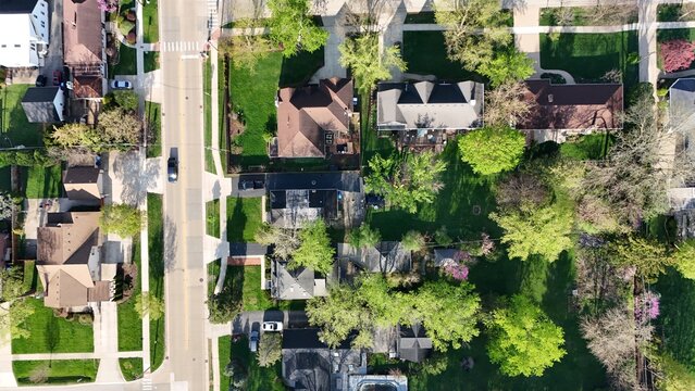 Aerial view of a quiet residential neighborhood with suburban houses, green lawns, and flowering trees along a straight road.