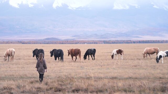 Woman walking toward grazing horses across autumn steppe beneath snowy mountains, atmospheric landscape about freedom, harmony with nature and communication with animals