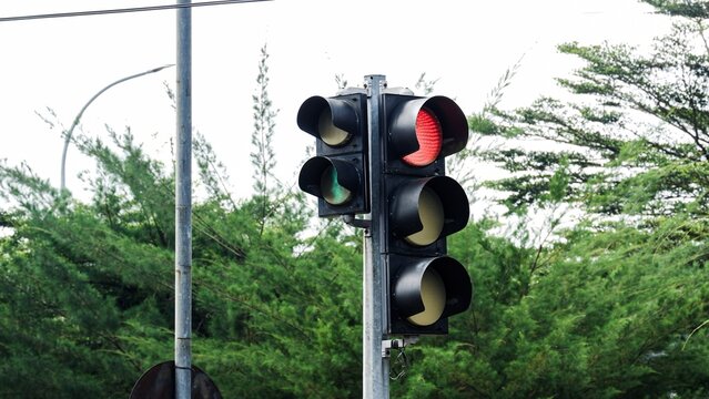 Close-up of a black street traffic light fixture with the top red light illuminated, mounted on a metal pole against a blurred green tree and bright white sky backdrop at a city junction.