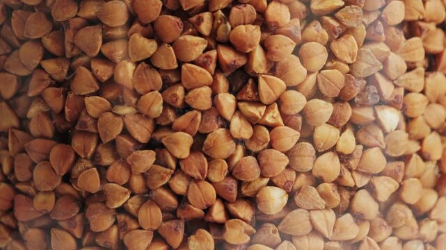 Close-up of buckwheat grains stored in a glass jar. Healthy cereal, dry food storage and natural nutrition concept. High quality 4k footage