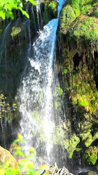 waterfall in the forest close up clean water 