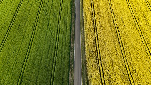 Aerial view of a straight asphalt road dividing vibrant green crops and bright yellow rapeseed fields in Butlar, Thuringia, Germany.