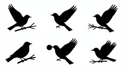 Obraz premium Set of bird silhouettes, some perched on branches, one carrying a round object in its beak. Stylized black shapes on white, suggesting flight and nature elements. Used for graphic design.