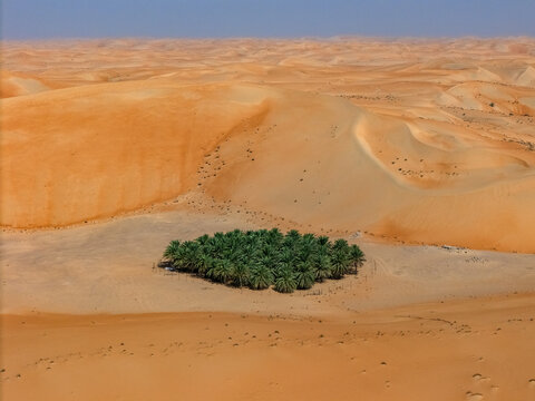 Aerial view of the Bateen Liwa oasis with green palm trees nestled among vast orange sand dunes in the desert Al Dhafra Region, Abu Dhabi, United Arab Emirates.