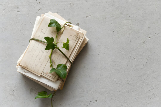 Vintage Letters Bound With Green Vine