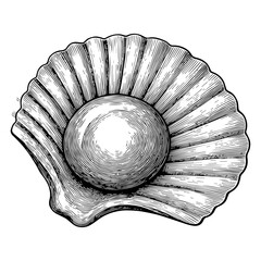Vintage Clam Shell Engraving Vector Illustration © AKMRUHUL