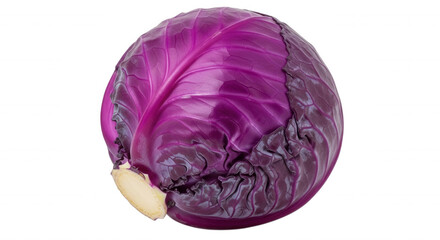 Obraz premium A whole head of fresh red cabbage with vibrant purple leaves and a thick white stem isolated against a solid black background
