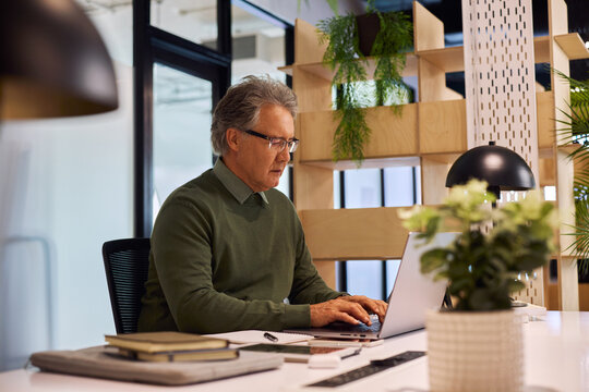 Mature busy businessman working at desk