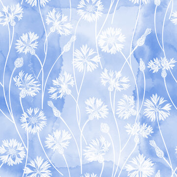 Cornflowers. Seamless vector pattern with flowers and buds on blue watercolor background. Perfect for design templates, wallpaper, wrapping, fabric, print and textile.