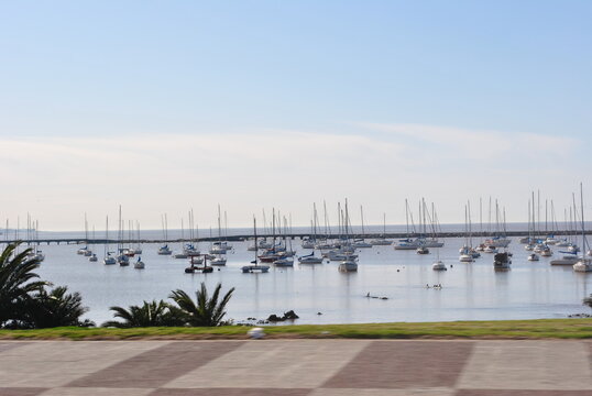 montevideo - uruguai 