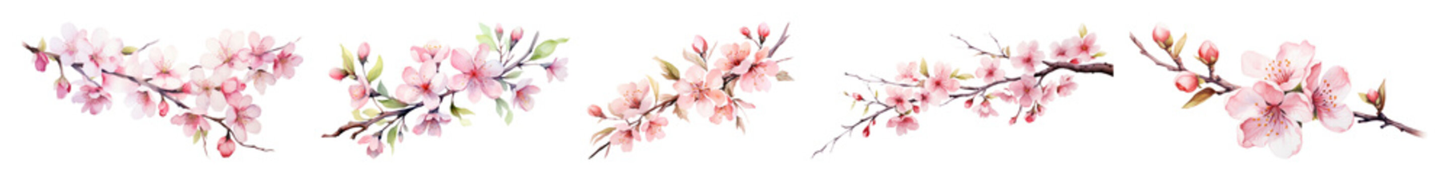 PNG Delicate pink cherry blossoms illustration, transparent background