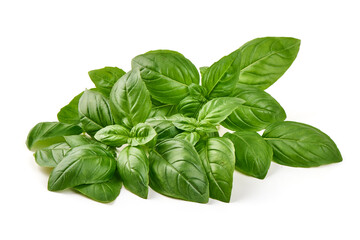Fototapeta premium Fresh Basil Leaves, isolated on white background