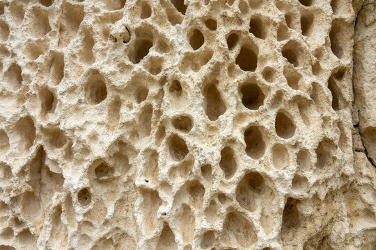 Honeycomb Weathered Limestone Rock Surface with Natural Tafoni Erosion Patterns, Beige Sandstone Texture Background