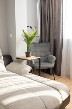 Sunlit corner of a modern living room featuring a comfortable sofa and velvet chair. Scandinavian interior design for a tranquil, cozy home. Warm home interior design, relaxation space