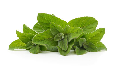 Fresh green mint leaves on a white background. © ANASTASIIA