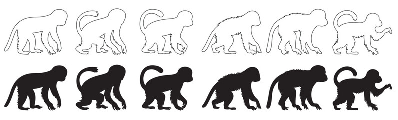 Silhouette collection of various monkeys and apes in diverse poses. Collection of black monkey and ape silhouettes in various poses on white background, vector illustration. © Nayab
