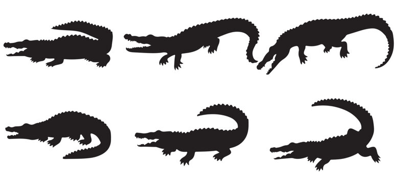 Crocodile reptile wild animal silhouettes. Black graphic silhouette of an angry crocodile with its mouth wide on white. Silhouette of crocodile illustration, vector Illustration.