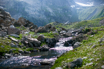 Mountain river stream valley scenery landscape. © Olesya Pogosskaya