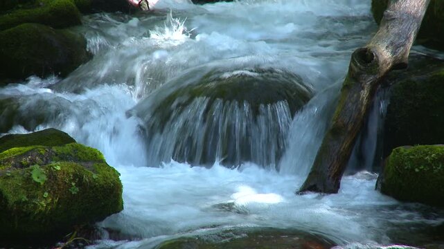 コケが付いた岩場を勢いよく流れ落ちる清流