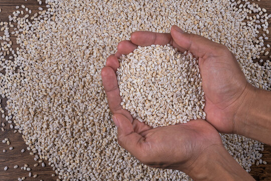 Hands cupping dry pearled barley grains on a textured wooden surface with scattered grains