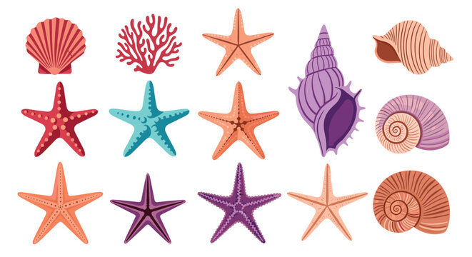 Detailed set of various colorful sea shells, starfish, and coral pieces in a flat illustration style for marine themes.