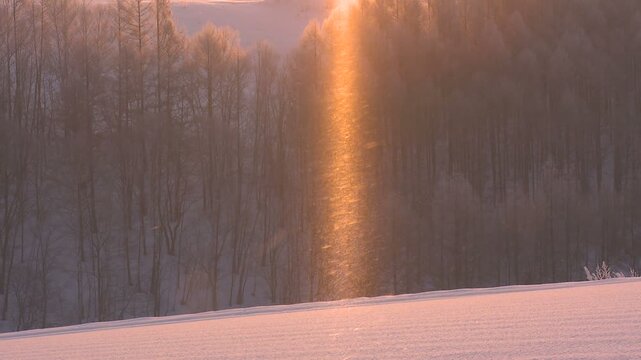 一筋の日の光に輝く雪