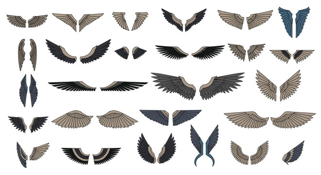 Large set of stylized bird and angel wings in various shapes and colors ranging from dark feathers to bright blue.