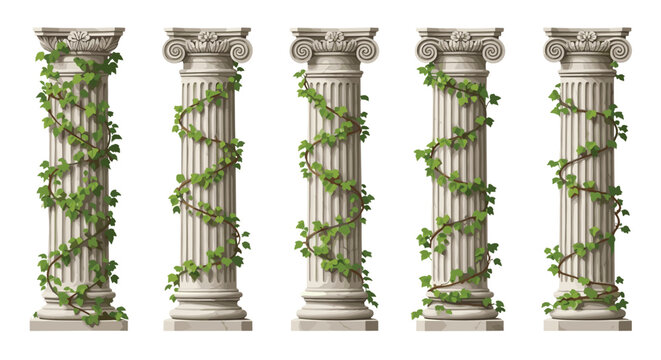 Set of five classical architectural Greek columns wrapped in climbing green ivy vines on a white background for design projects.