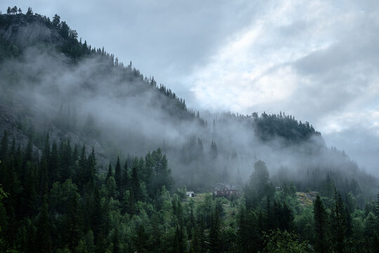 Late afternoon, afterrain landscape of Telemark province, Norway.