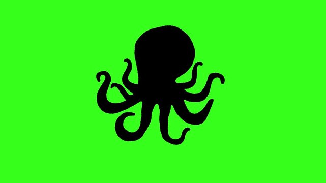 Animated octopus icon with a hand-drawn effect on a green screen background