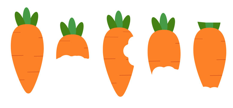 Bitten carrot stages vector set